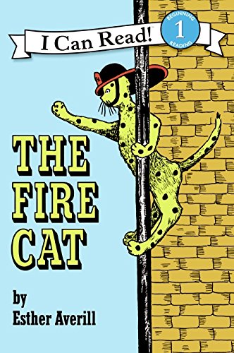 Book: Fire Cat