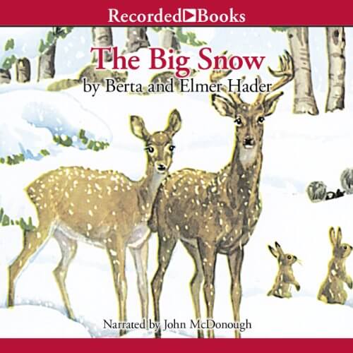 Book: The Big Snow